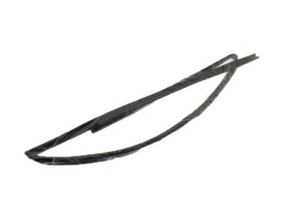 2008 Pontiac Vibe Weather Strip - 88974658