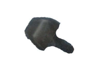 GM 22122391 Nozzle, Rear Window Washer *Black