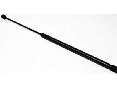 Chevrolet Tailgate Lift Support - 15161943