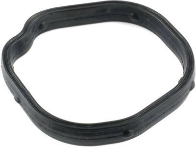 GM 55562045 Seal, Water Outlet (O, Ring)