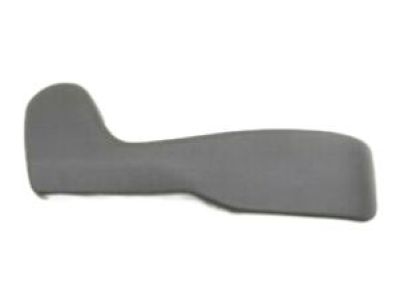 GM 15281814 Cover, Passenger Seat Riser Finish *Ebony