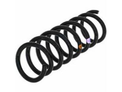 Buick Park Avenue Coil Springs - 10035259