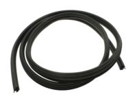 GM 19168173 Weatherstrip Asm,Rear Side Door (Closed Carrier)*Black