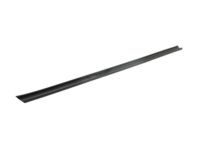 GM 25868570 Weatherstrip Assembly, Rear Side Door Rear Auxiliary