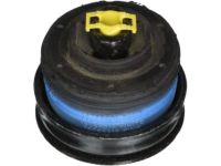 GM 15768821 Cushion,Body Bolt Upper