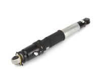 GM 84176675 Rear Leveling Shock Absorber Assembly