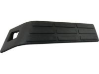 GM 15647617 Pad,Rear Bumper Step