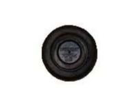 GM 94535987 Plug, Floor Panel Hole