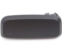 GM 22876239 Cap Assembly, Asst Step Front Finish *Black