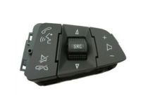 GM 25862239 Switch,Radio Control