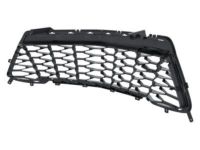 GM 23505817 Grille Assembly, Front Lower *Black