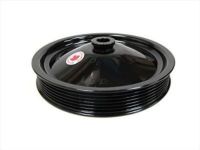 GM 12559885 Pulley, P/S Pump