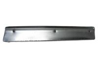 GM 10208193 Molding, Rocker Panel *Malachitem/M