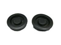 GM 21038829 Grommet, R