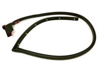 GM 15821952 Weatherstrip Assembly, Intermediate Side Door