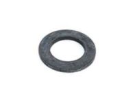 GM 492346 Washer