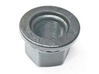 GM 9596862 Nut, Wheel M22