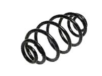 GM 93178630 Rear Spring Set