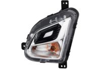 GM 84226245 Lamp Assembly, Front Turn Signal