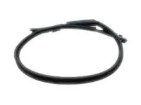 GM 15219153 Weatherstrip,Front Side Door Window