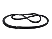 GM 20909102 Weatherstrip Assembly, Lift Gate