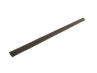 GM 25634572 Weatherstrip, Rear Side Door Lower