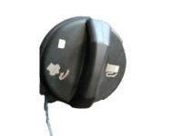 GM 19153383 Cap Asm,Fuel Tank Filler