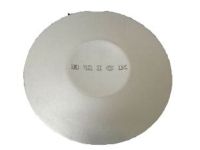 GM 9592961 Wheel Trim CAP *Silver Spark