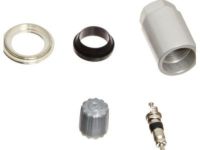 GM 19117464 Valve Kit,Tire