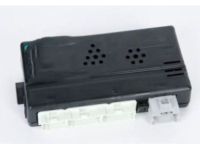 GM 19116645 Body Control Module Assembly