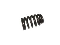 GM 12592506 Spring, Valve