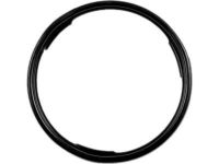 GM 22515965 Seal,Fuel Sender(O Ring)