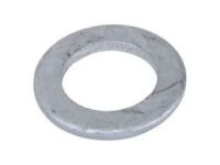 GM 11611452 Washer.