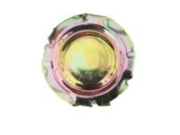 GM 25892659 Plug Assembly, Floor Panel Drain Hole