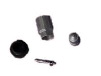 GM 19117460 Valve Kit,Tire