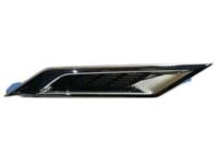 GM 20881029 Ornament, Front Fender