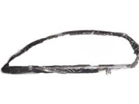 GM 22751685 Weatherstrip Assembly, Front Side Door Window Outer