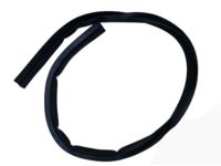 GM 96991919 Weatherstrip Assembly, Hood Rear