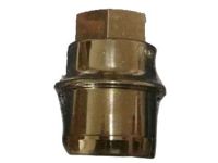 GM 9598895 Wheel Nut Cap *Black