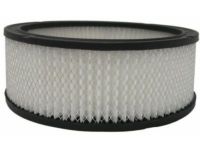 GM 6419892 Element,Air Cleaner