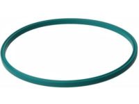 GM 22672293 Seal, Fuel Pump (O Ring)