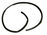 GM 15917732 Weatherstrip Assembly, Lift Gate Window