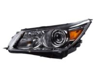 GM 19351926 Headlamp Kit (Service)