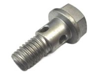 GM 11561946 Screw Banjo