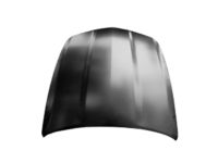 GM 84076717 Hood Asm