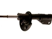 GM 19179862 Front Suspension Strut Kit