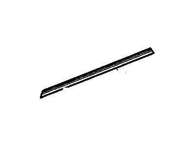 GM 20835968 Weatherstrip, Front Side Door Lower Auxiliary