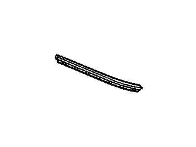 Buick Park Avenue Door Seal - 25642355