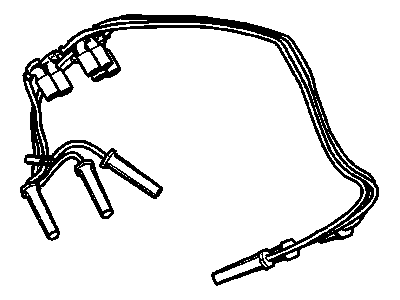 Buick Terraza Spark Plug Wires - 19417611