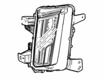 GM 84899148 Lamp Assembly, Cor